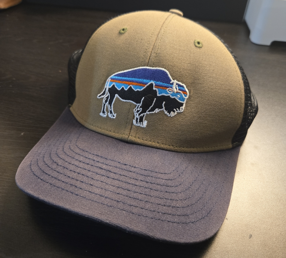 Patagonia Fitz Roy Bison Lopro Trucker Hat